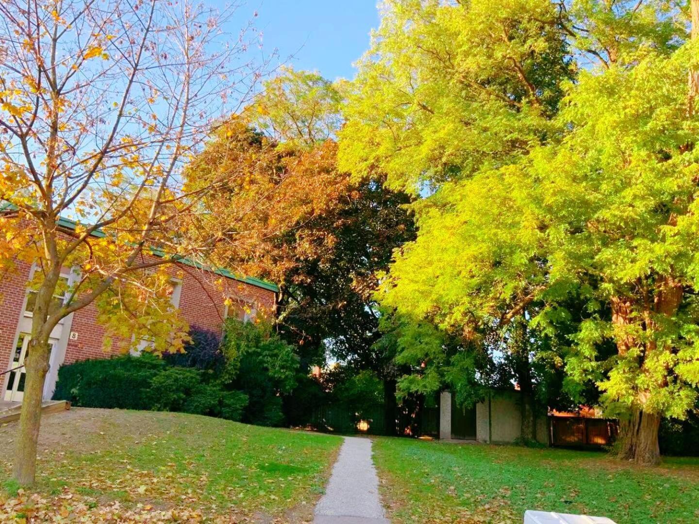 Leaside Garden Guesthouse Toronto Buitenkant foto